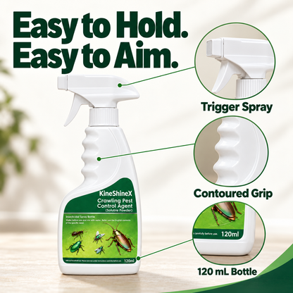 🪳Crawling Pest Control – Take Back Your Space
