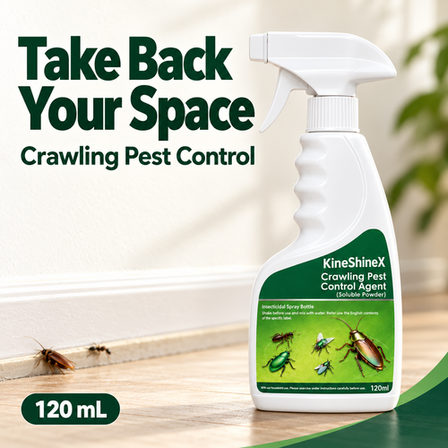 🪳Crawling Pest Control – Take Back Your Space