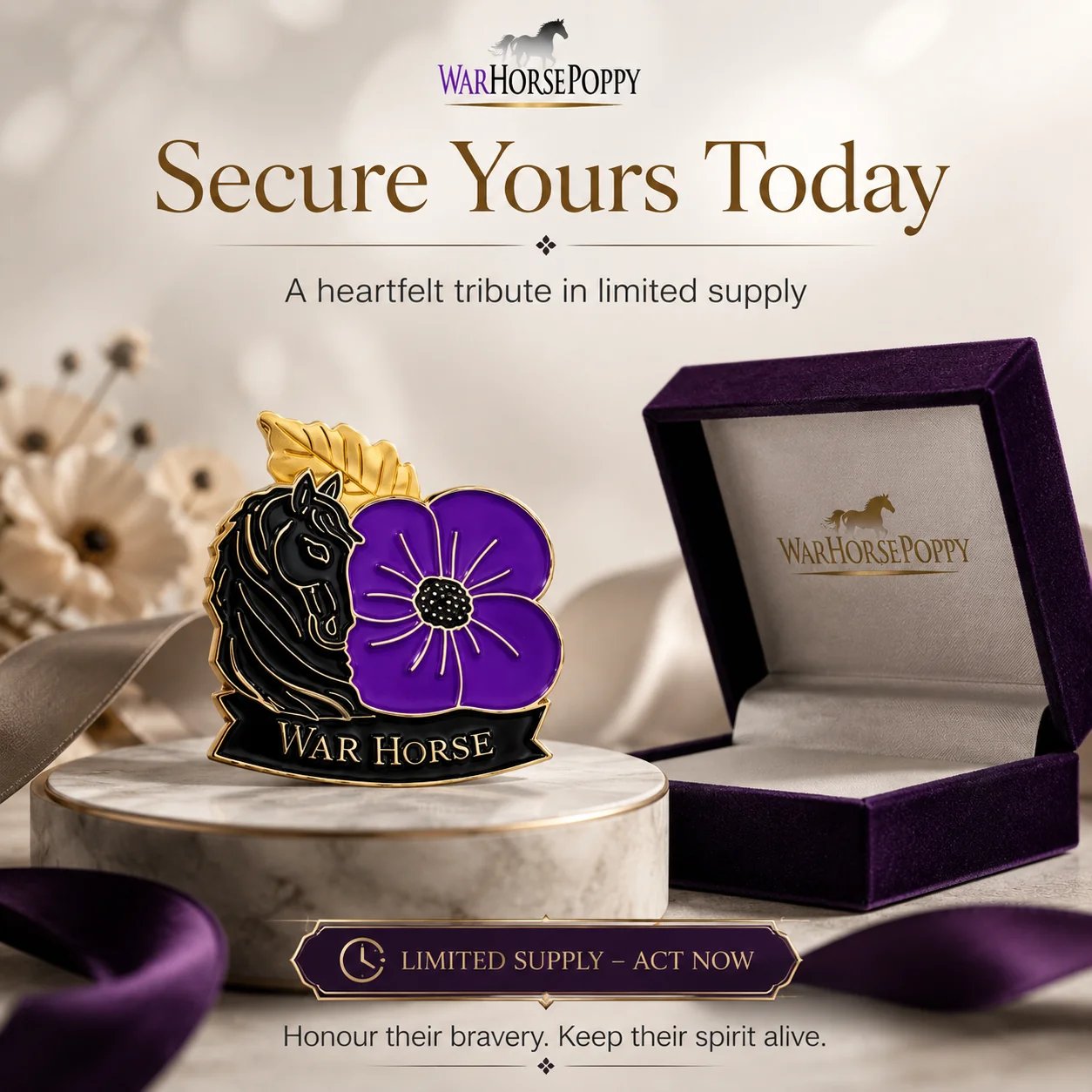 War Horse Purple Poppy brooch gift presentation