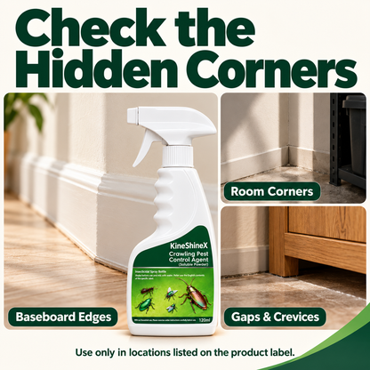 🪳Crawling Pest Control – Take Back Your Space