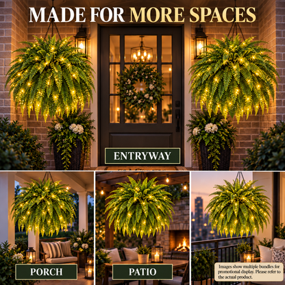 💥 50% OFF💛 Glowing Boston Ferns with Lights✨ Zero Watering & Maintenance