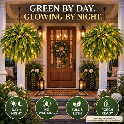 💥 50% OFF💛 Glowing Boston Ferns with Lights✨ Zero Watering & Maintenance