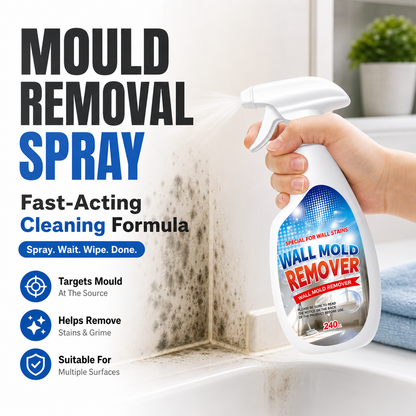 Mold Removal Spray
