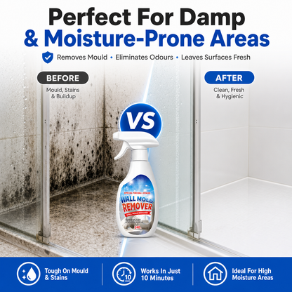 Mold Removal Spray